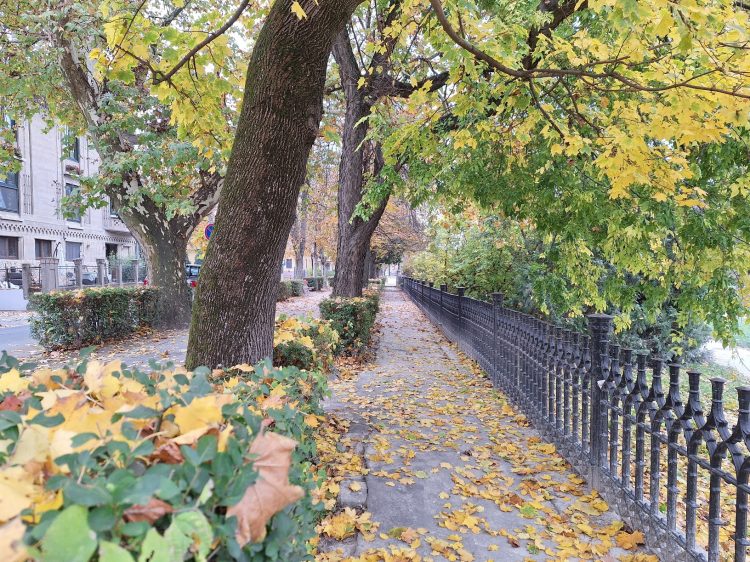 Széllel érkezik szombaton a hidegfront