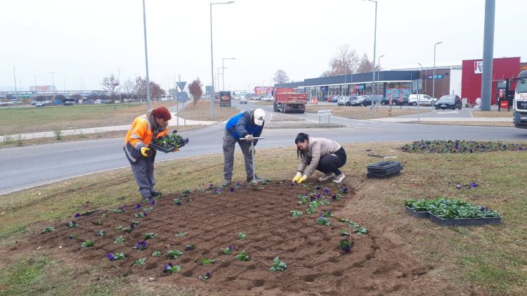 Ezeket a munkákat végezte a Városfejlesztő a múlt héten