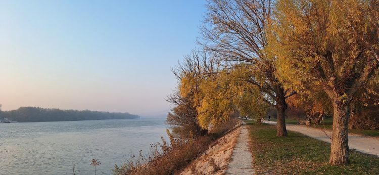 Néhány órára kisüt a nap