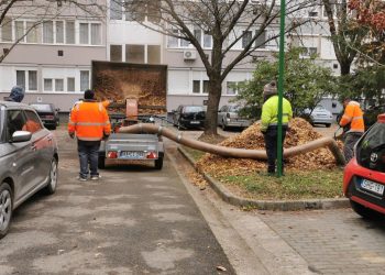 Ezeket a munkákat végezte a Városfejlesztő a múlt héten – képekkel