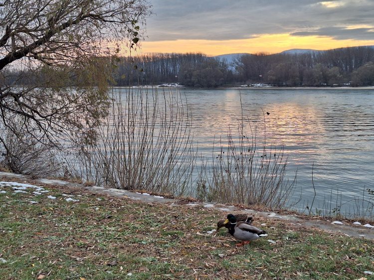 Hidegen, nyirkosan indul november utolsó hete