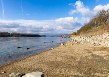 Kerekasztal beszélgetést tartanak a Duna védelmében – videóval