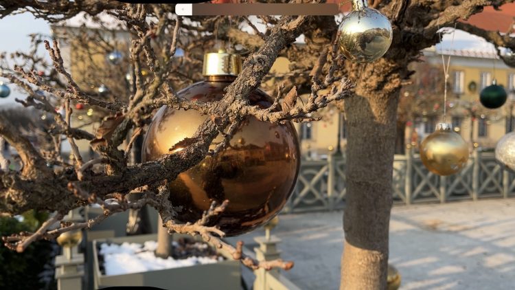 Áll már a város egyik karácsonyfája a főtéren – videó