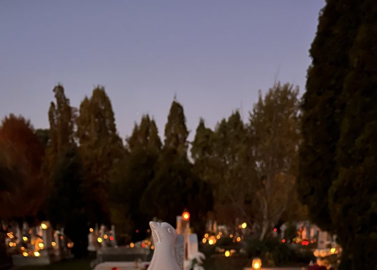 Galéria: Így nézett ki Mindenszentek napján a váci temető