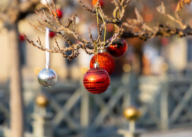 Nézegessen képeket a főtéri karácsonyfa díszítéséről! – galéria