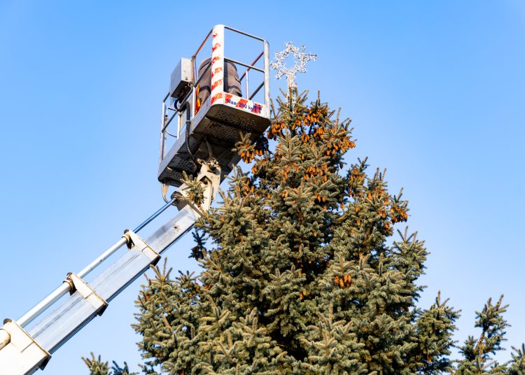 Nézegessen képeket a főtéri karácsonyfa díszítéséről! – galéria