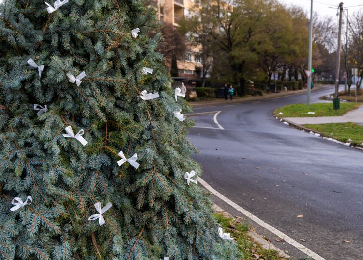 Galéria: már készen áll a főtér, Deákvár és a Földváry tér is az adventre