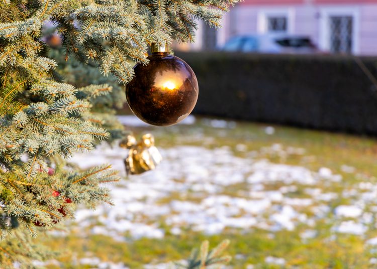 Nézegessen képeket a főtéri karácsonyfa díszítéséről! – galéria