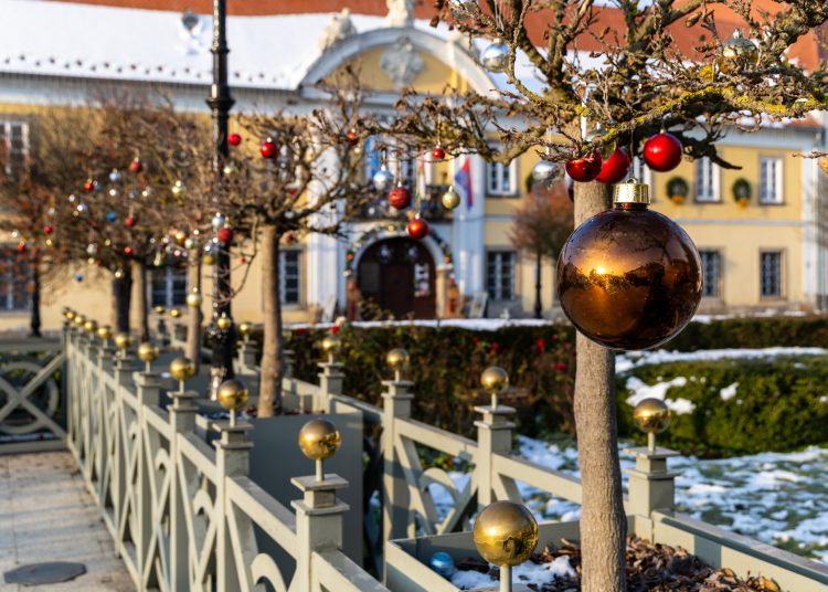 Nézegessen képeket a főtéri karácsonyfa díszítéséről! – galéria