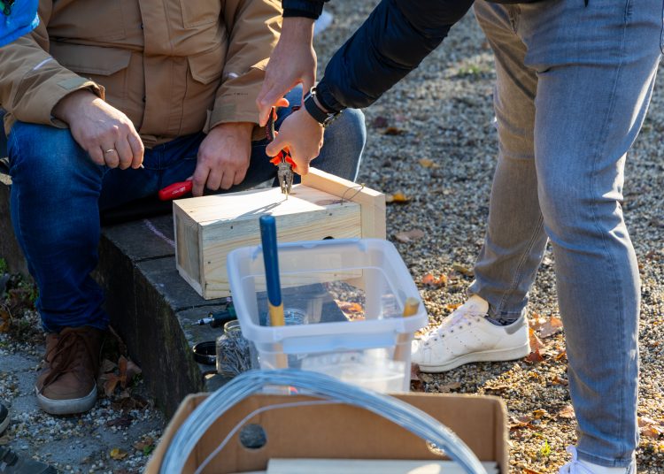 Galéria: több önkéntes is a Rózsakert csinosításán ügyködött