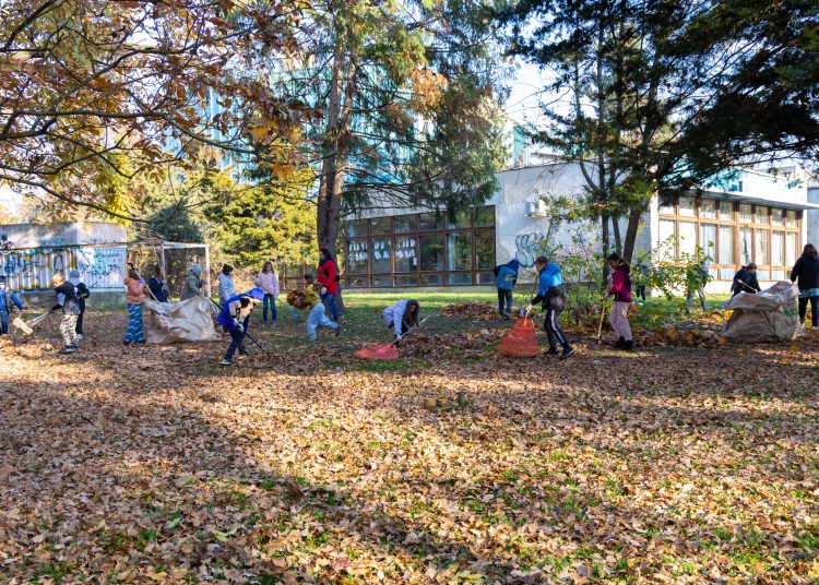 Galéria: több önkéntes is a Rózsakert csinosításán ügyködött