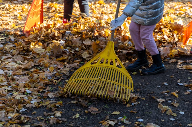 Galéria: több önkéntes is a Rózsakert csinosításán ügyködött