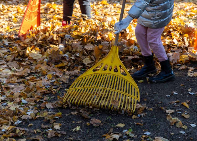 Galéria: több önkéntes is a Rózsakert csinosításán ügyködött