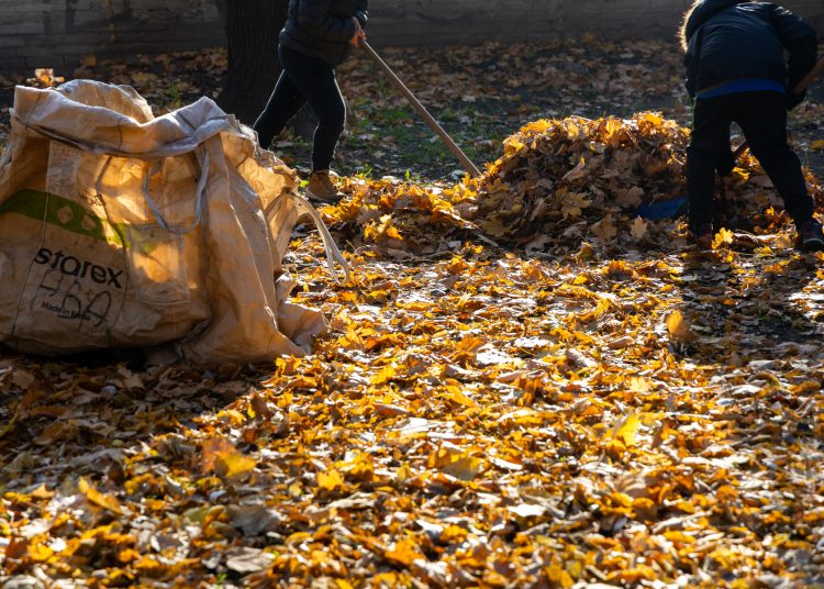 Galéria: több önkéntes is a Rózsakert csinosításán ügyködött
