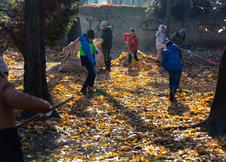 Galéria: több önkéntes is a Rózsakert csinosításán ügyködött
