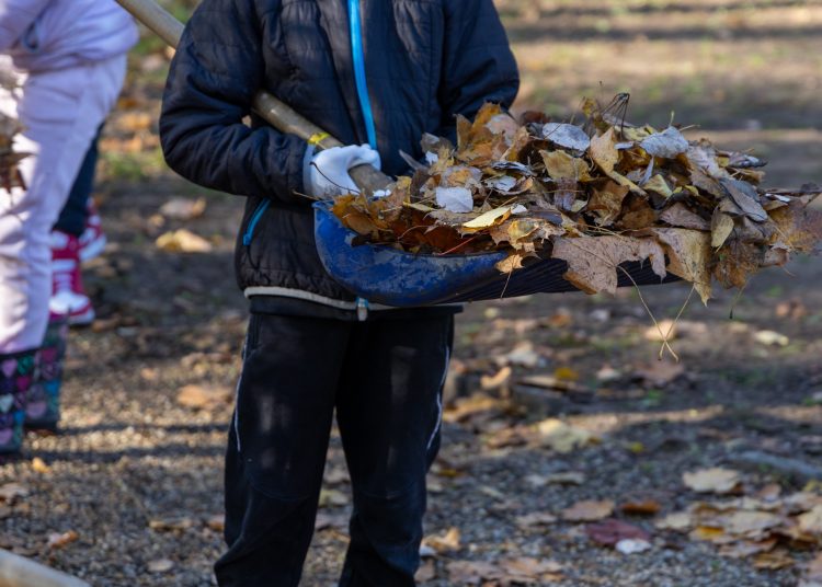 Galéria: több önkéntes is a Rózsakert csinosításán ügyködött