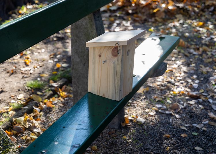 Galéria: több önkéntes is a Rózsakert csinosításán ügyködött