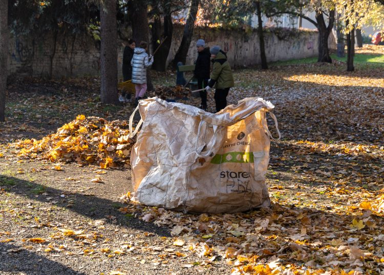 Galéria: több önkéntes is a Rózsakert csinosításán ügyködött