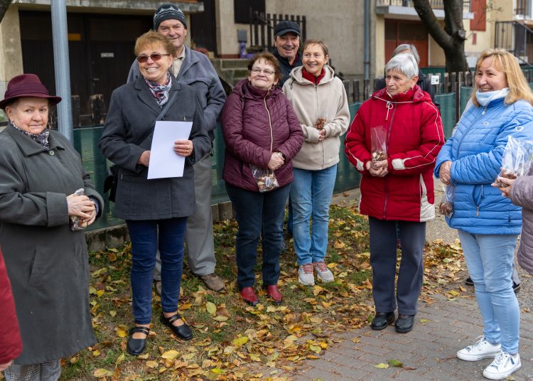 A Munkácsy lett Vác legvirágosabb utcája – galériával