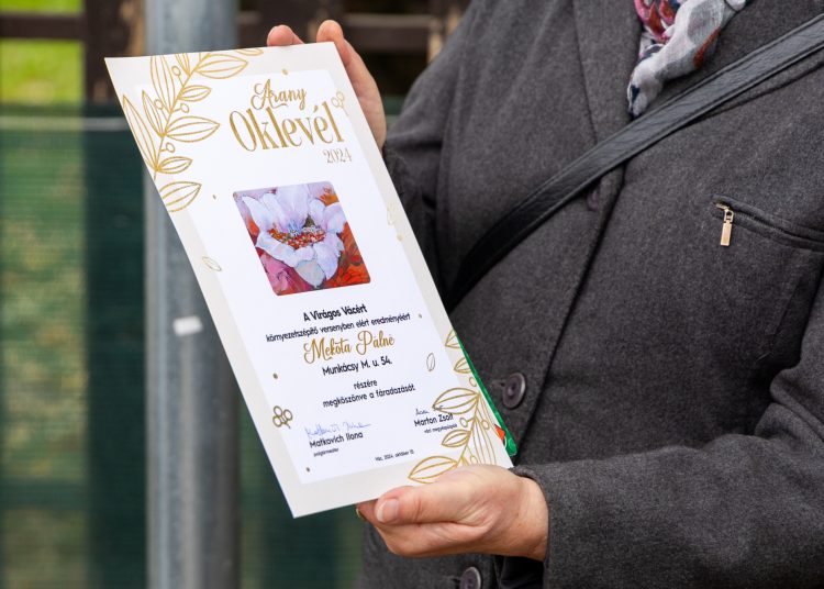 A Munkácsy lett Vác legvirágosabb utcája – galériával