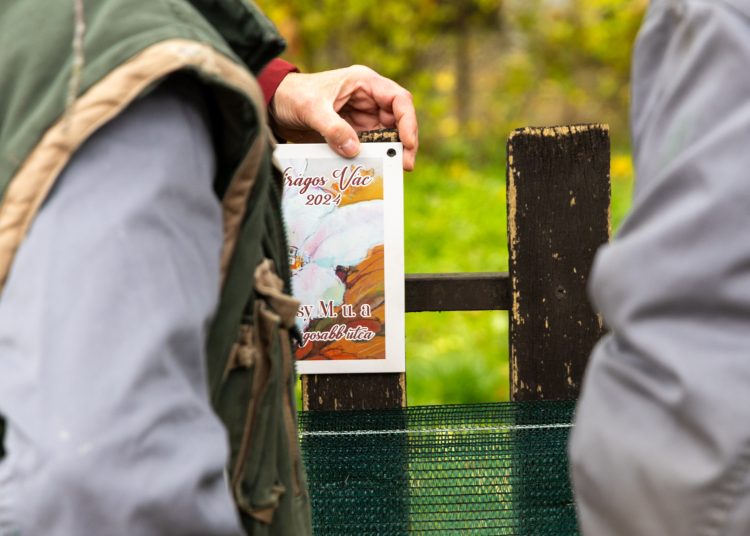 A Munkácsy lett Vác legvirágosabb utcája – galériával