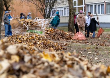 Waldorfos diákok segítettek rendbe tenni a Fürj utca tömbbelsőjét