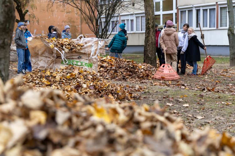Waldorfos diákok segítettek rendbe tenni a Fürj utca tömbbelsőjét