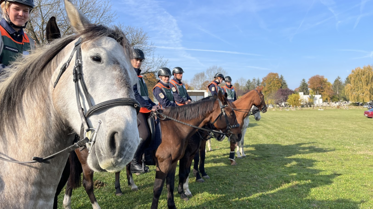Nem volt probléma a hosszú hétvégén Vácon a temetők környékén – videóval