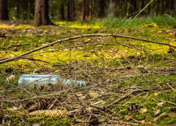 Hulladékgyűjtésre és faültetésre invitálnak mindenkit a váci civilek – videóval