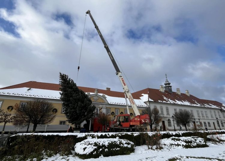 Galéria: megérkezett a főtérre a város karácsonyfája