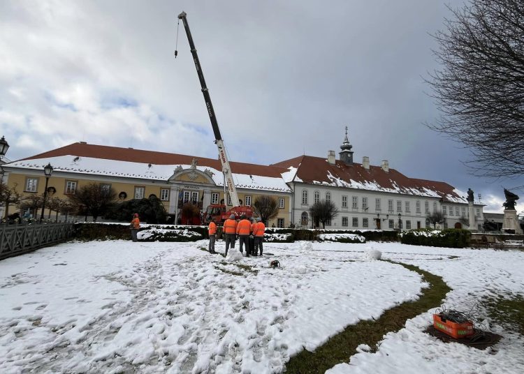 Galéria: megérkezett a főtérre a város karácsonyfája
