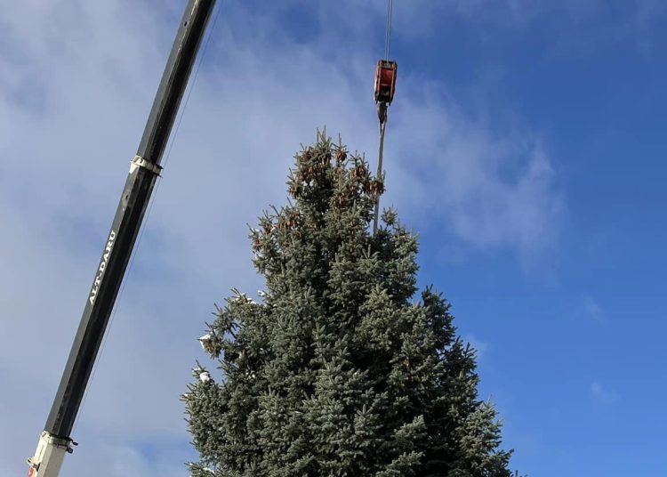 Galéria: megérkezett a főtérre a város karácsonyfája