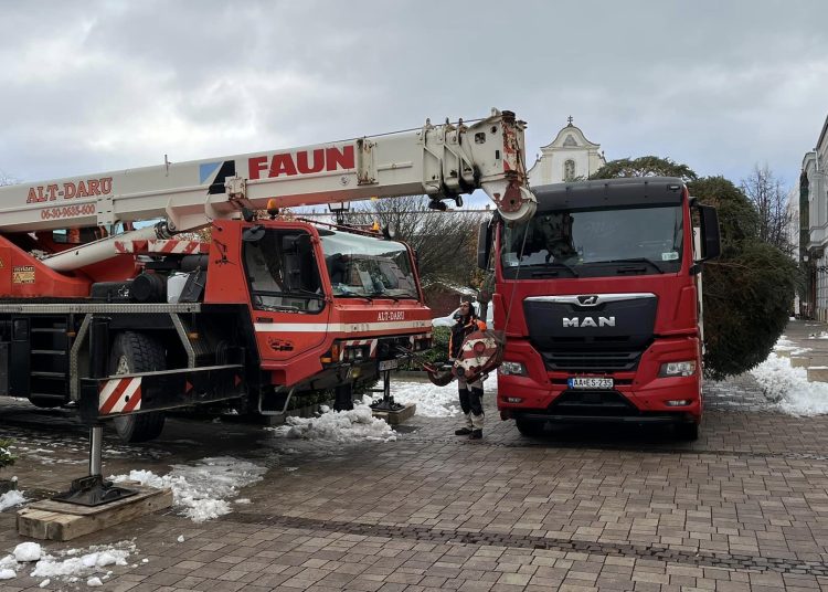 Galéria: megérkezett a főtérre a város karácsonyfája