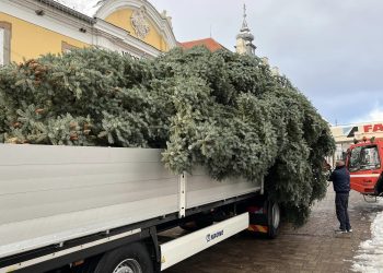 Galéria: megérkezett a főtérre a város karácsonyfája