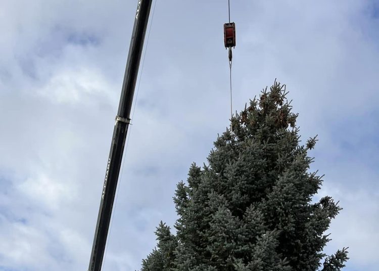 Galéria: megérkezett a főtérre a város karácsonyfája