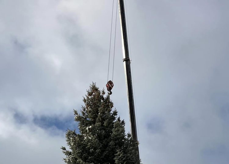 Galéria: megérkezett a főtérre a város karácsonyfája
