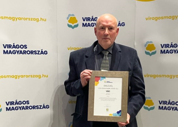 A váci Március 15-e tér lett 2024-ben Magyarország Legvirágosabb Főtere