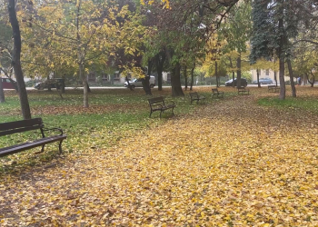 A Rózsakert csinosítására várják a segítőket pénteken és szombaton