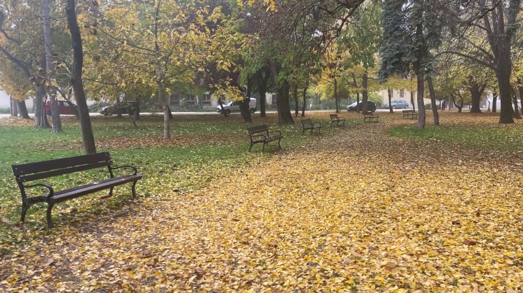 A Rózsakert csinosítására várják a segítőket pénteken és szombaton