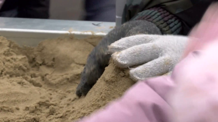 Pályázaton nyert a Juhász iskola – videóval