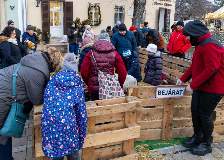 Galéria az állatsimogatóról, a Komédiás Kompánia előadásáról és a fényfestésről