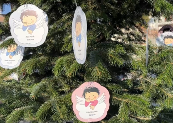 A Vácon született gyerekek neveivel díszítik a karácsonyfákat – videó