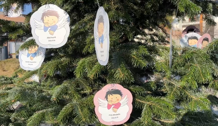 A Vácon született gyerekek neveivel díszítik a karácsonyfákat – videó