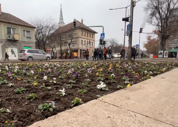 Virágágyásokat és padokat is telepítettek Alsóvároson – videóval