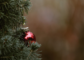 Így marad sokáig szép a karácsonyfa
