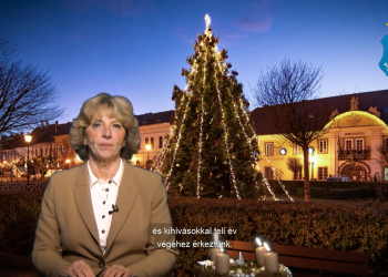Egész éves ünnepségsorozattal készül Vác 2025-re – jelentette be Matkovich Ilona