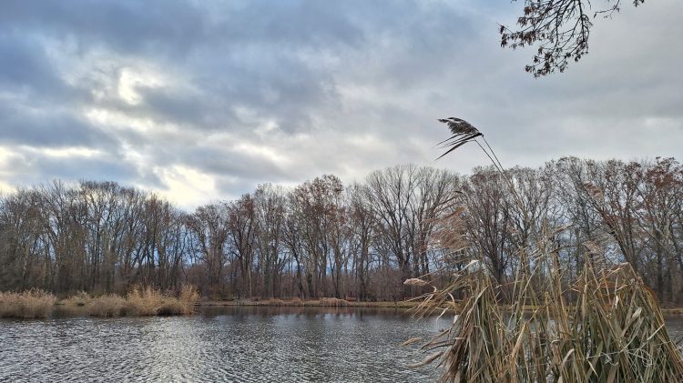 Viharos széllel érkezett a hidegfront