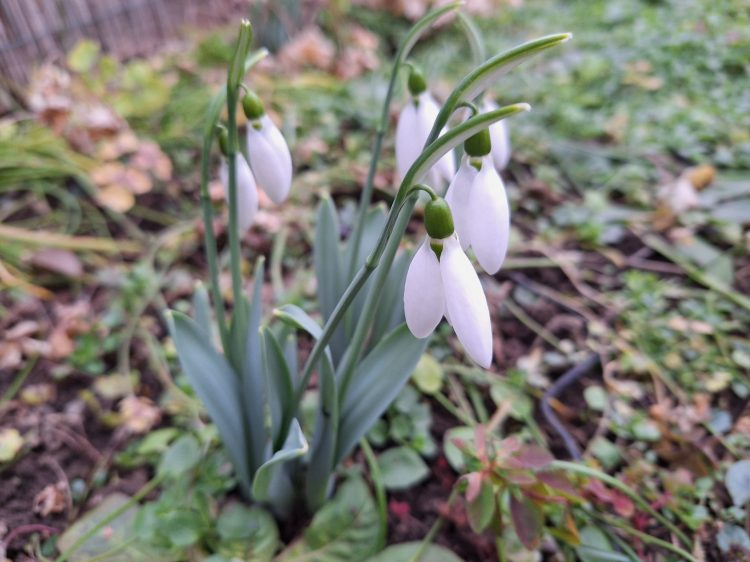 Pár órára kisüt a nap