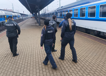 A szlovákokkal közösen ellenőrizték a nemzetközi vonatokat a váci rendőrök