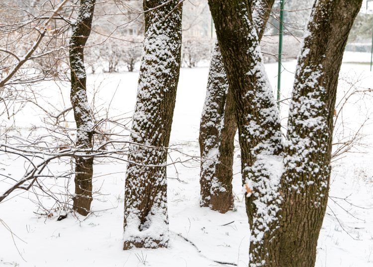 Hólepel borította be Vácot – galéria